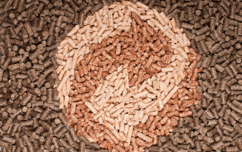 Pellet - biomasa